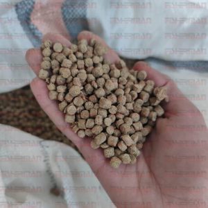 غذای ماهی اکسترود