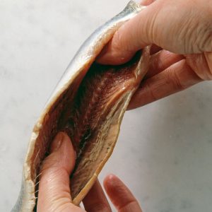 بازکردن شکم ماهی